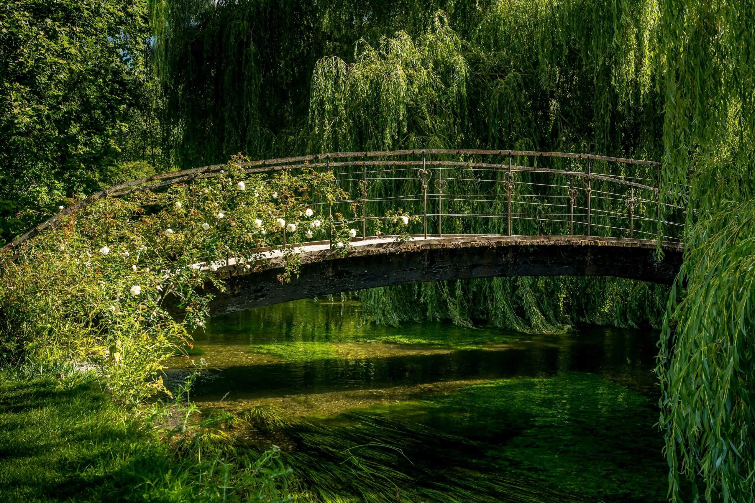 Le Jardin de Monet – Fribourg – UNE EXPOSITION IMMERSIVE